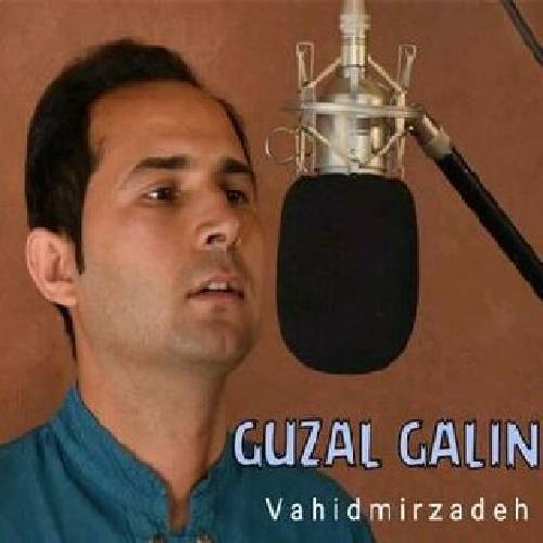 دانلود آهنگ گوزل گلین وحید میرزاده